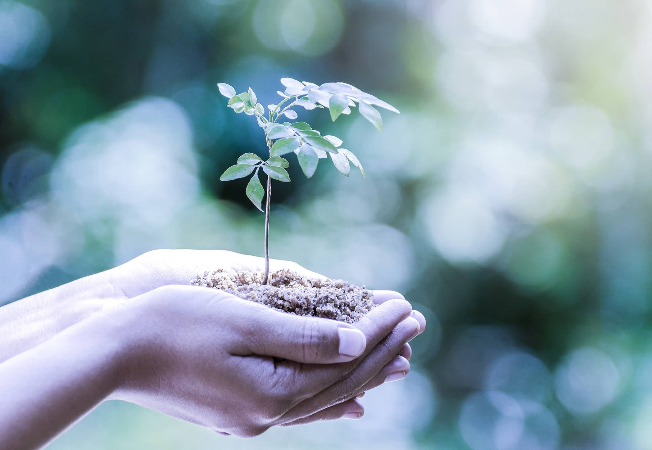 Gestión ambiental y energética